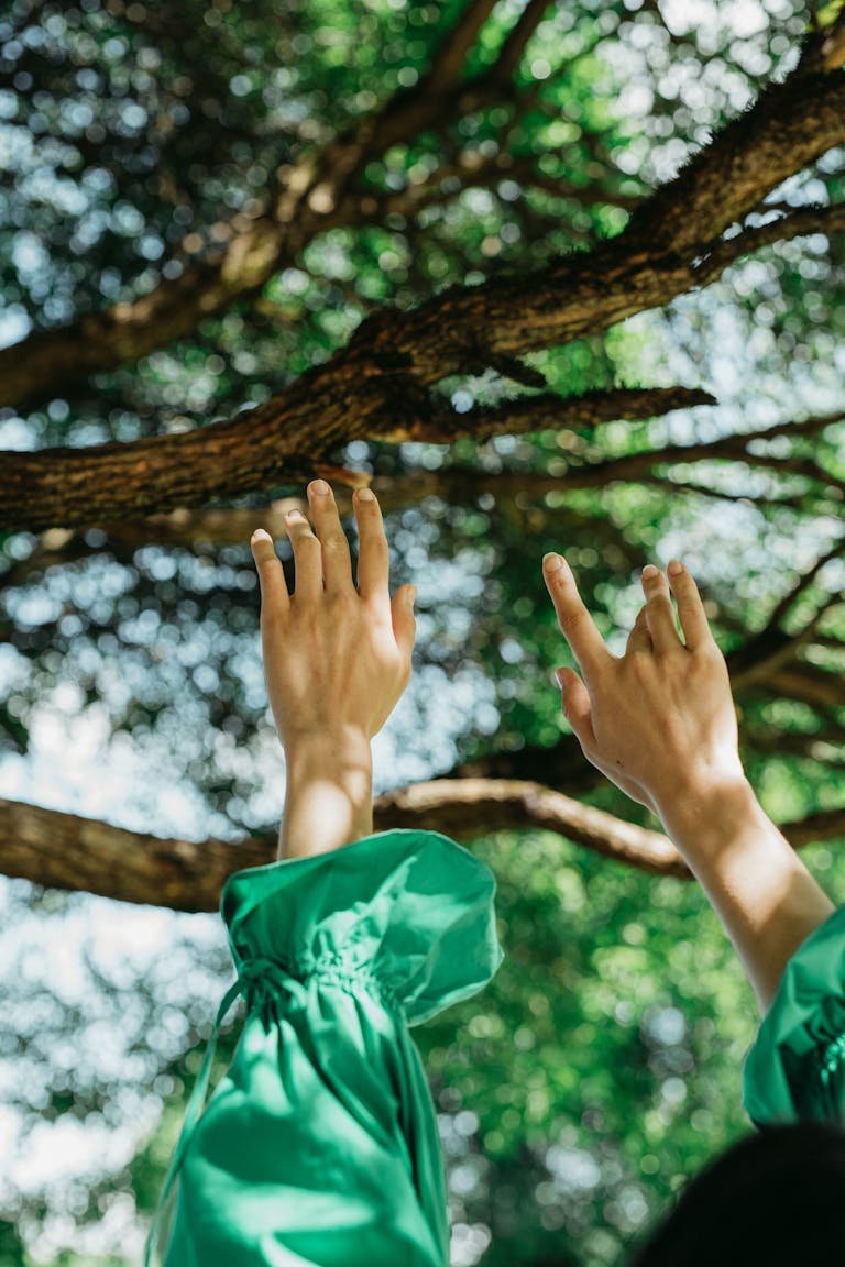Hands reaching up towards tree branches, embracing nature and tranquility.