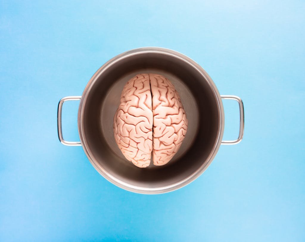 Creative shot of a human brain model in a pot against a blue backdrop, symbolizing mind and thought.